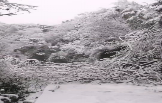 战暴雪、保供电！半岛online(中国)鸟儿巢公司应对极端天气紧急抢修失电故障