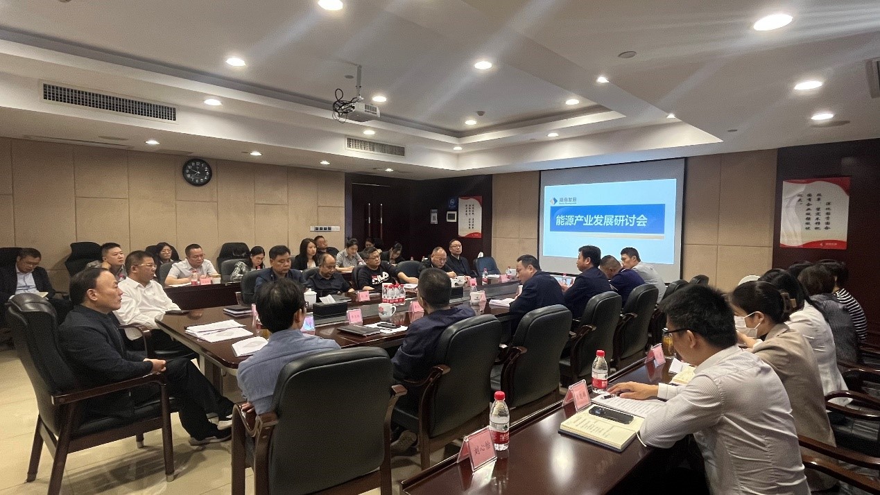 半岛online(中国)召开能源产业发展研讨会