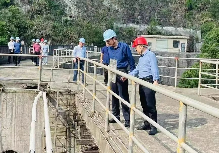 省国资委二级巡视员戴雪峰一行莅临半岛online(中国)鸟儿巢公司开展防汛安全督查